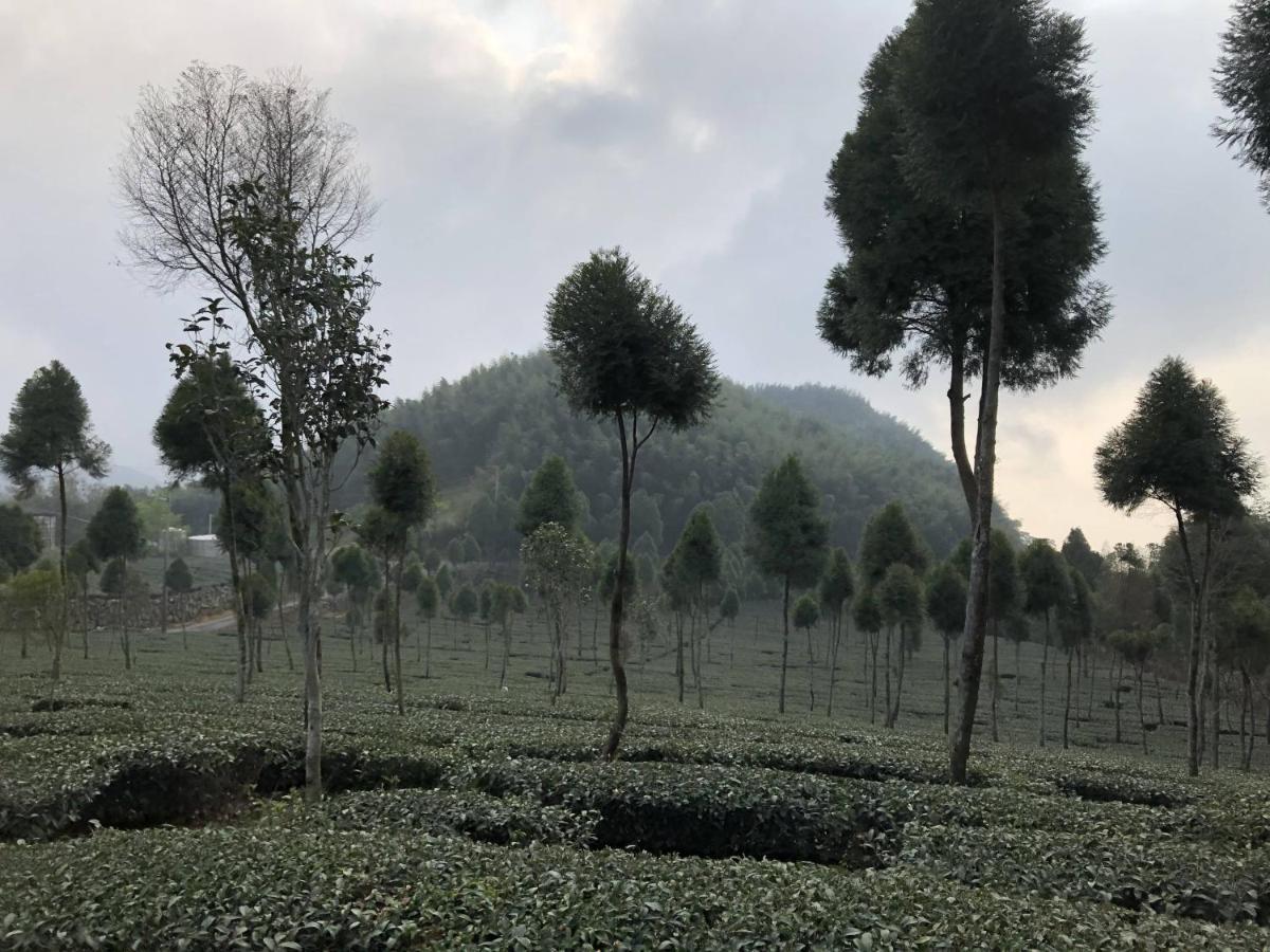 悟 佐茶 Satori Tea Villa Leye Екстериор снимка